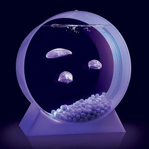 f32d_jellyfish_tank_lit
