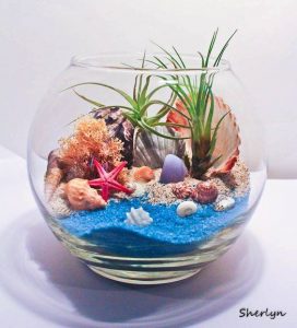 Posibile acvarii pentru pesti?!